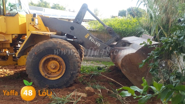 jarrafat hadm sa77a (12).JPG